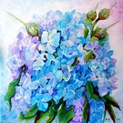 Hort�nzia